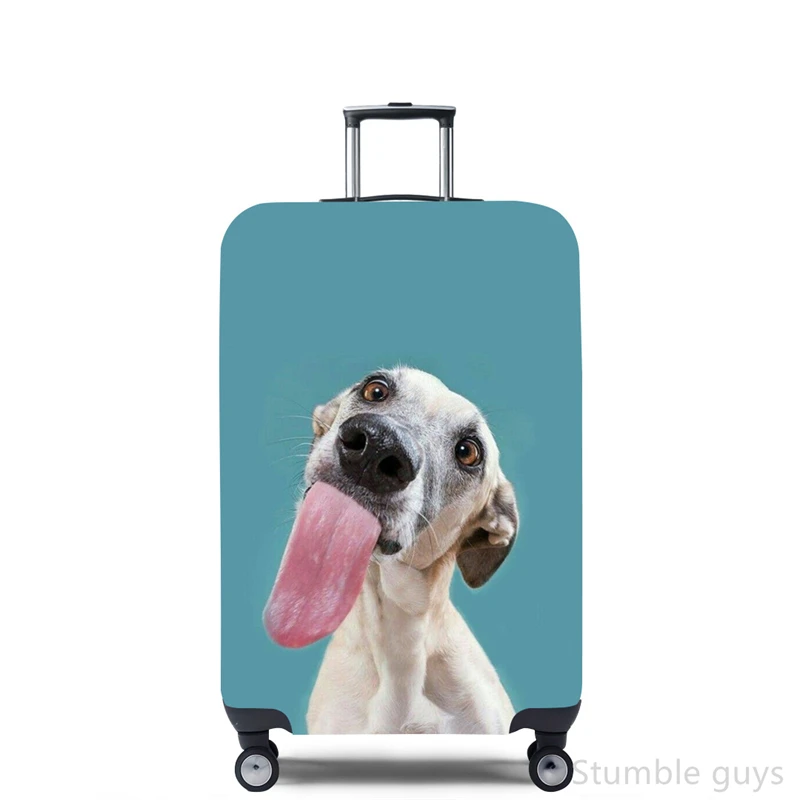 ผ้าคลุมกระเป๋าเดินทางแบบยืดหยุ - Travel Accessories Needed บทวิจารณ์และราคา